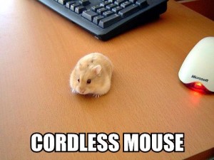cordless-mouse-300x225
